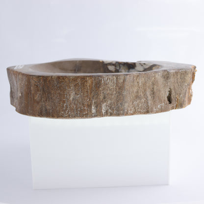 Bowl Petrified Wood - Expert Wholesale and Supplier of Wholesale Crystals & Bulk Gemstones, ["Bowls","Indonesia","Petrified Wood"]