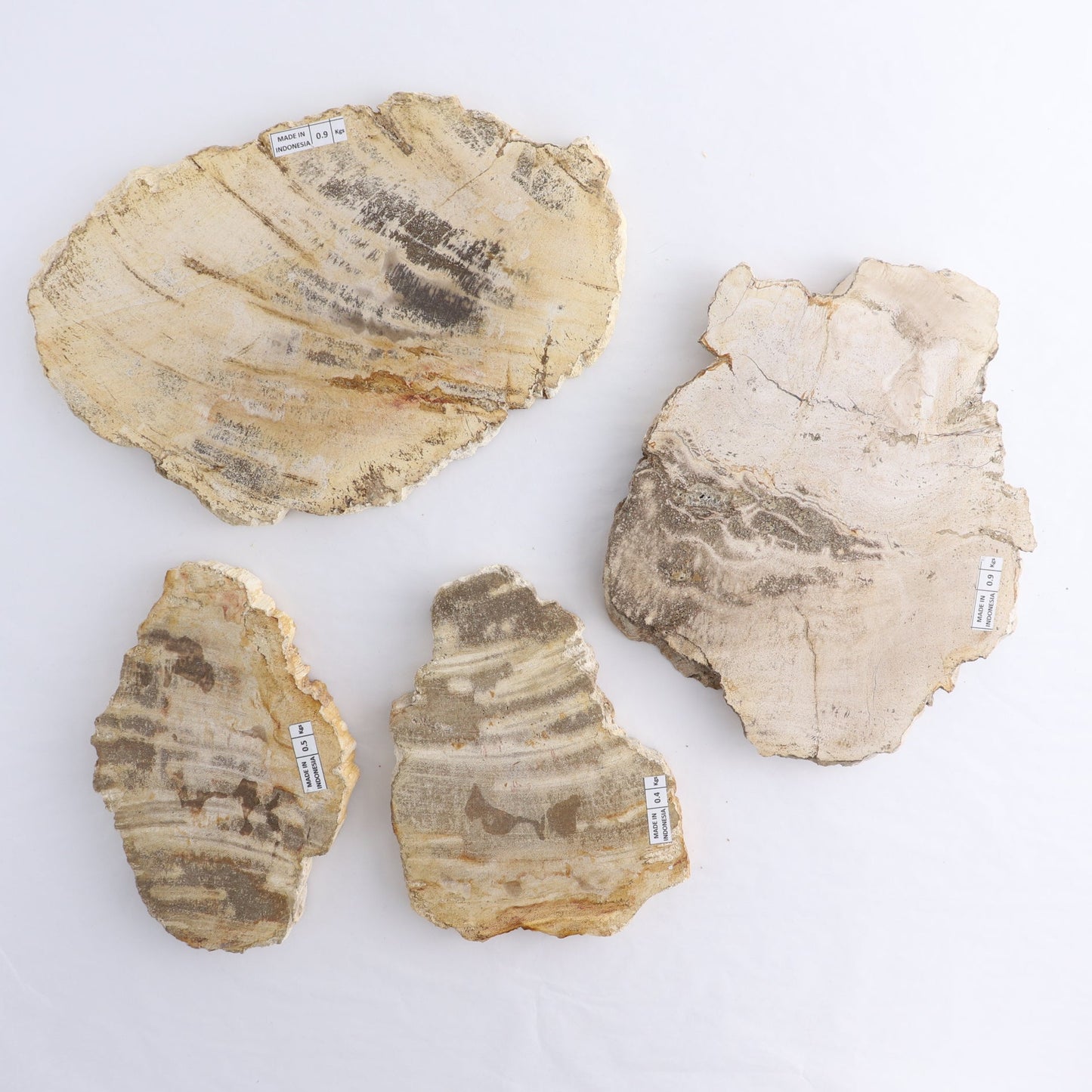 Petrified Wood Slices & Slabs Set of 4 - Expert Wholesale and Supplier of Wholesale Crystals & Bulk Gemstones, ["Freeforms","Indonesia","Petrified Wood","Slices and Slabs"]