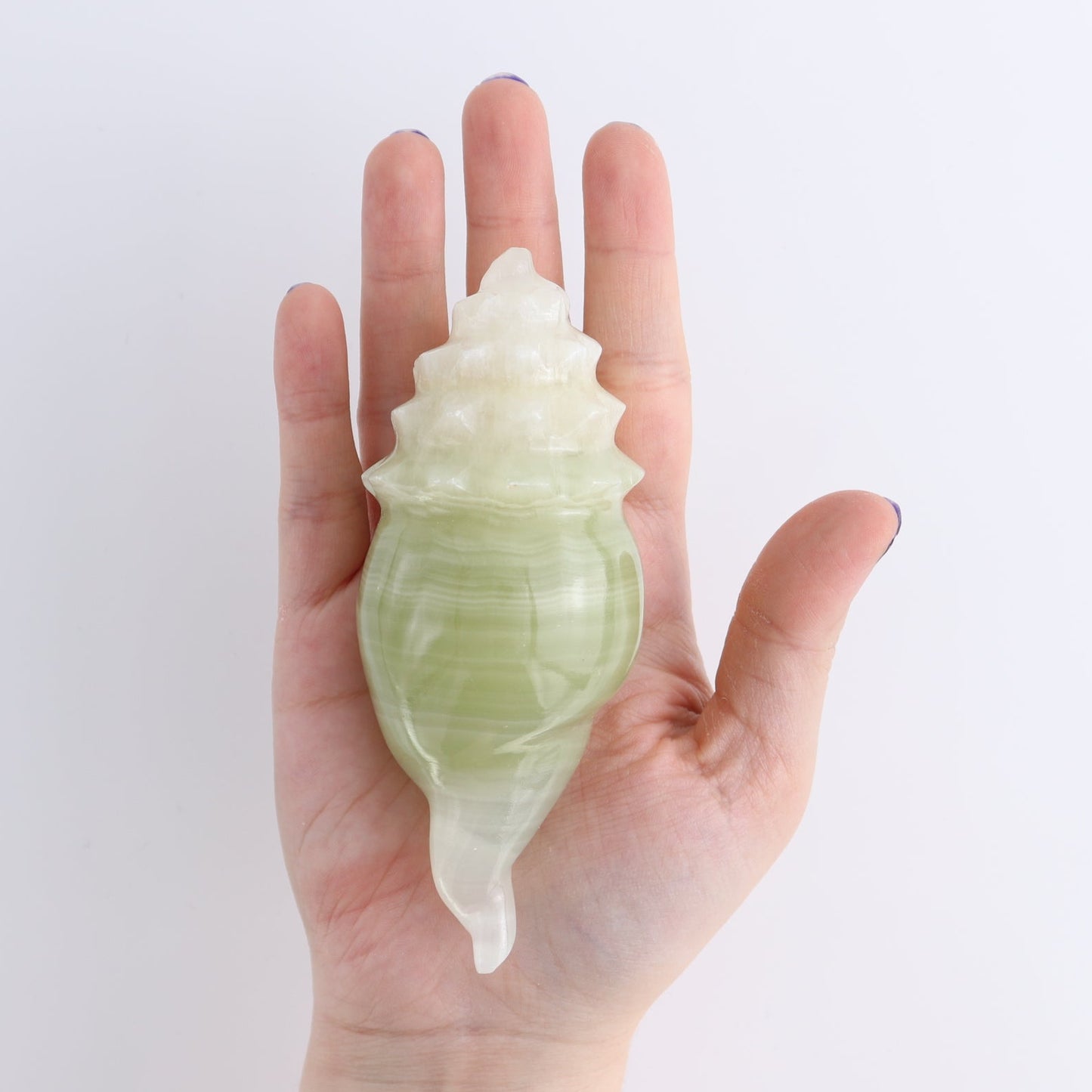 One Mexican Onyx/Calcite Shell Cut Base Green