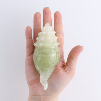 One Mexican Onyx/Calcite Shell Cut Base Green