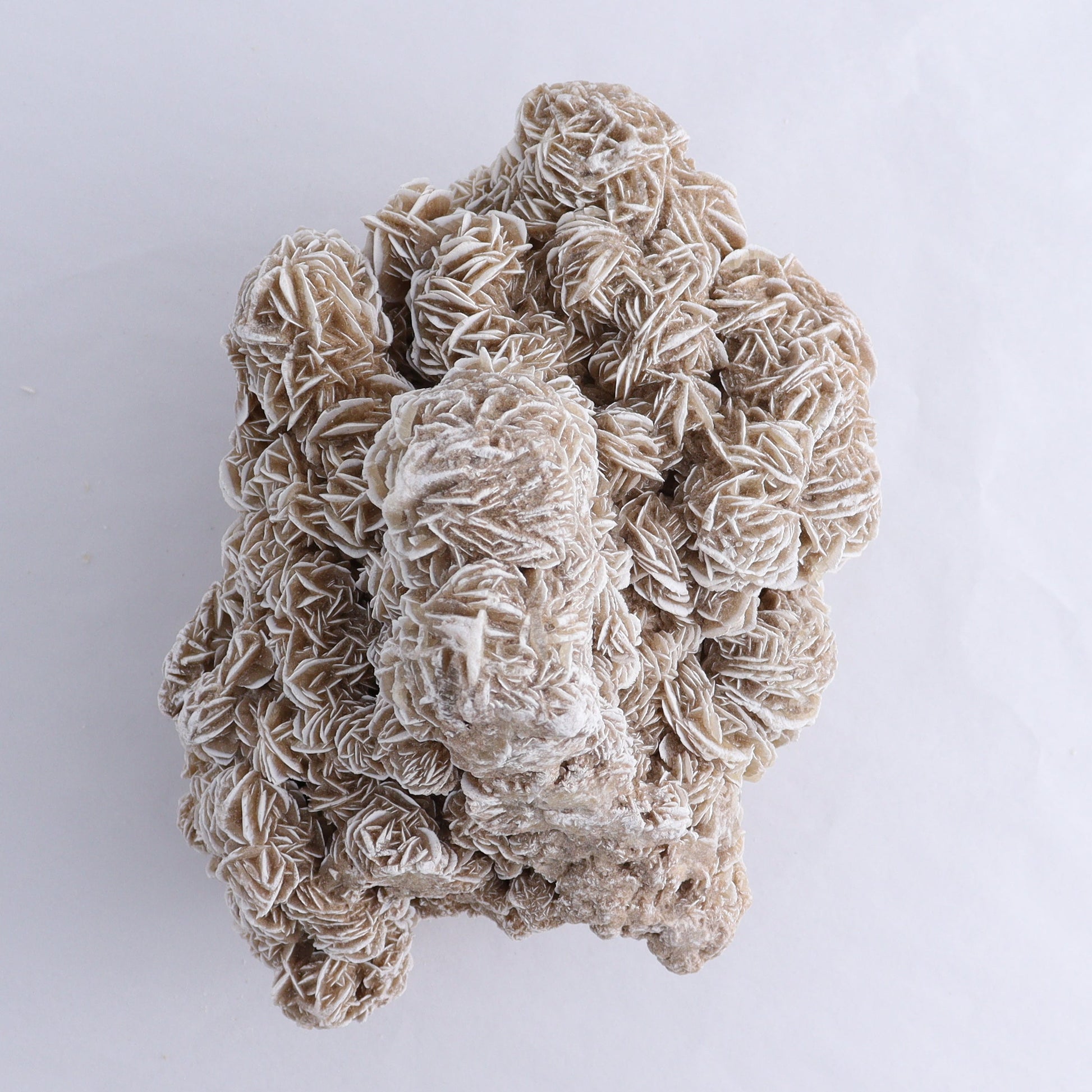 Desert Rose Cluster - Expert Wholesale and Supplier of Wholesale Crystals & Bulk Gemstones, ["Desert Rose","Freeforms"]
