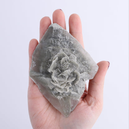 Selenite Clusters Set of 12