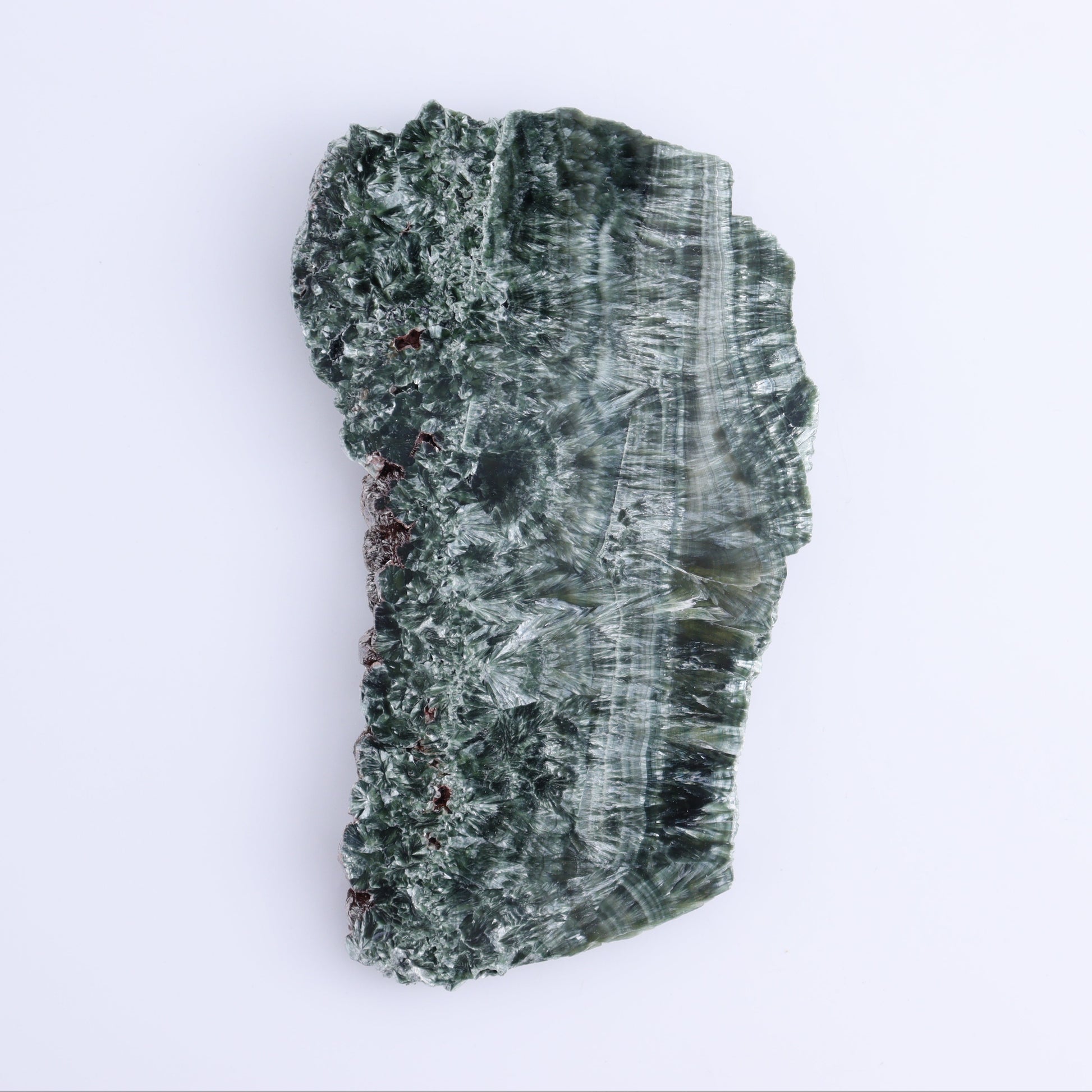 Seraphinite Slices Set of 3 - Expert Wholesale and Supplier of Wholesale Crystals & Bulk Gemstones, ["Russia","Seraphinite","Slices and Slabs"]