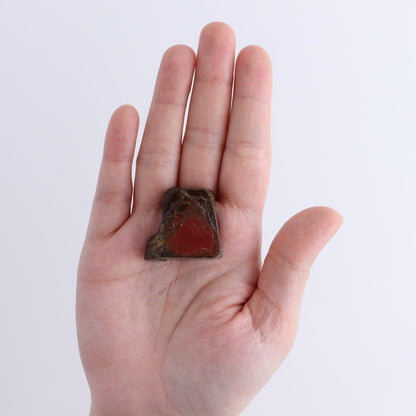 Ammolite Rough Set of 3