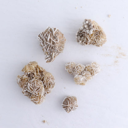 Desert Rose Flat