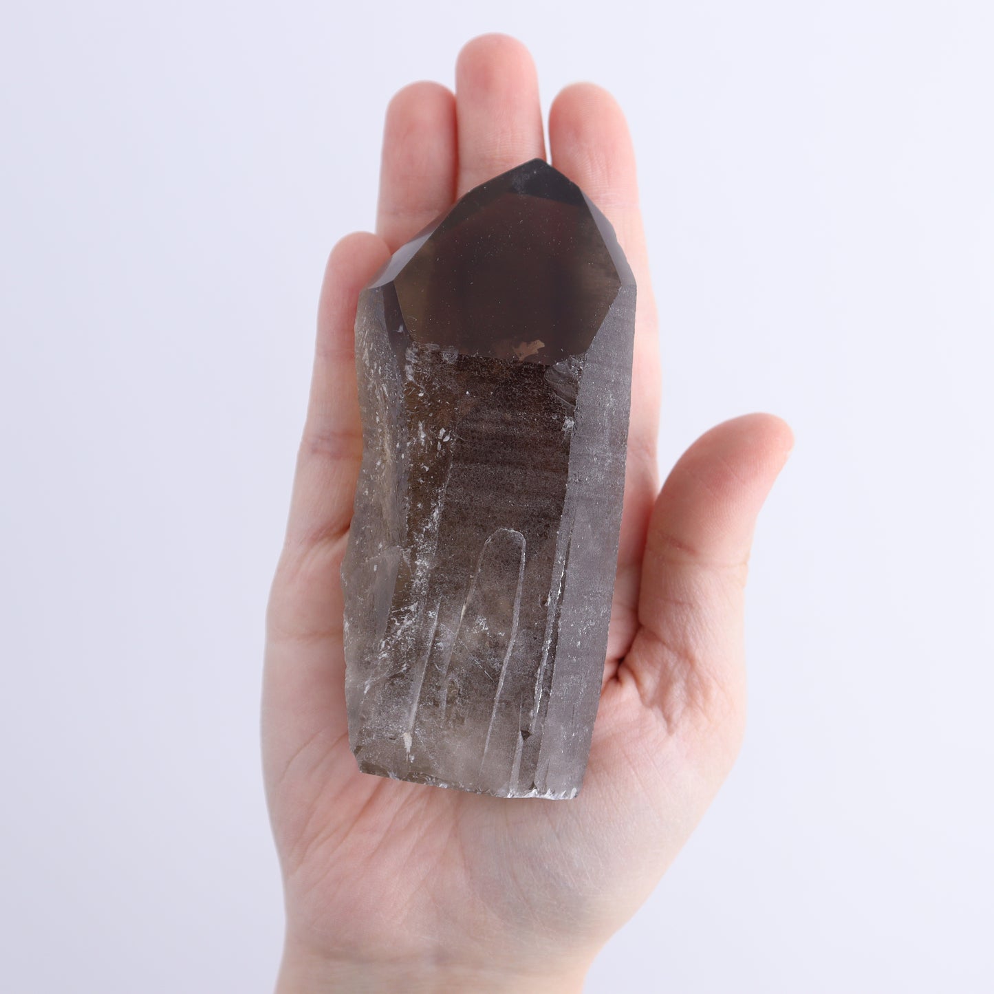 Smoky Quartz Polished Tops Set of 12 - Expert Wholesale and Supplier of Wholesale Crystals & Bulk Gemstones, ["Brazil","close_70","Points","Polished Tip","Quartz","Smoky Quartz"]