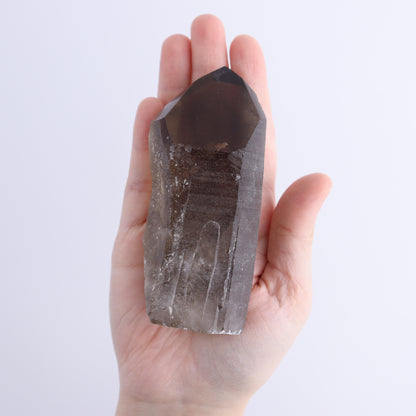 Smoky Quartz Polished Tops Set of 12 - Expert Wholesale and Supplier of Wholesale Crystals & Bulk Gemstones, ["Brazil","close_70","Points","Polished Tip","Quartz","Smoky Quartz"]