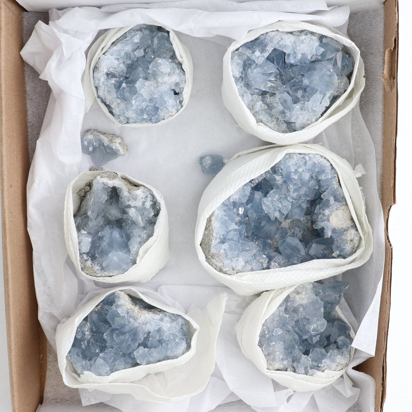 Celestite Clusters Set of 6