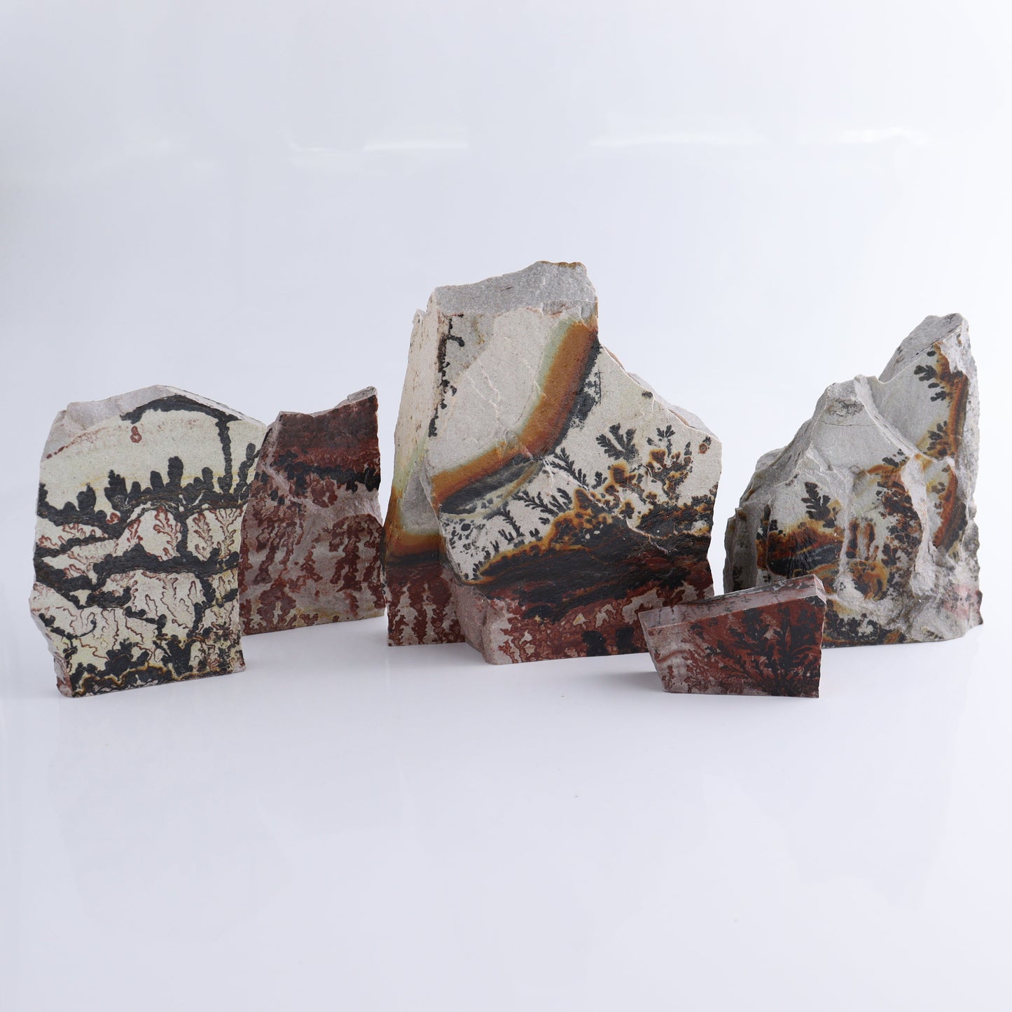 Dendrites Flat Set of 5 - Expert Wholesale and Supplier of Wholesale Crystals & Bulk Gemstones, ["Dendrite","Flats"]