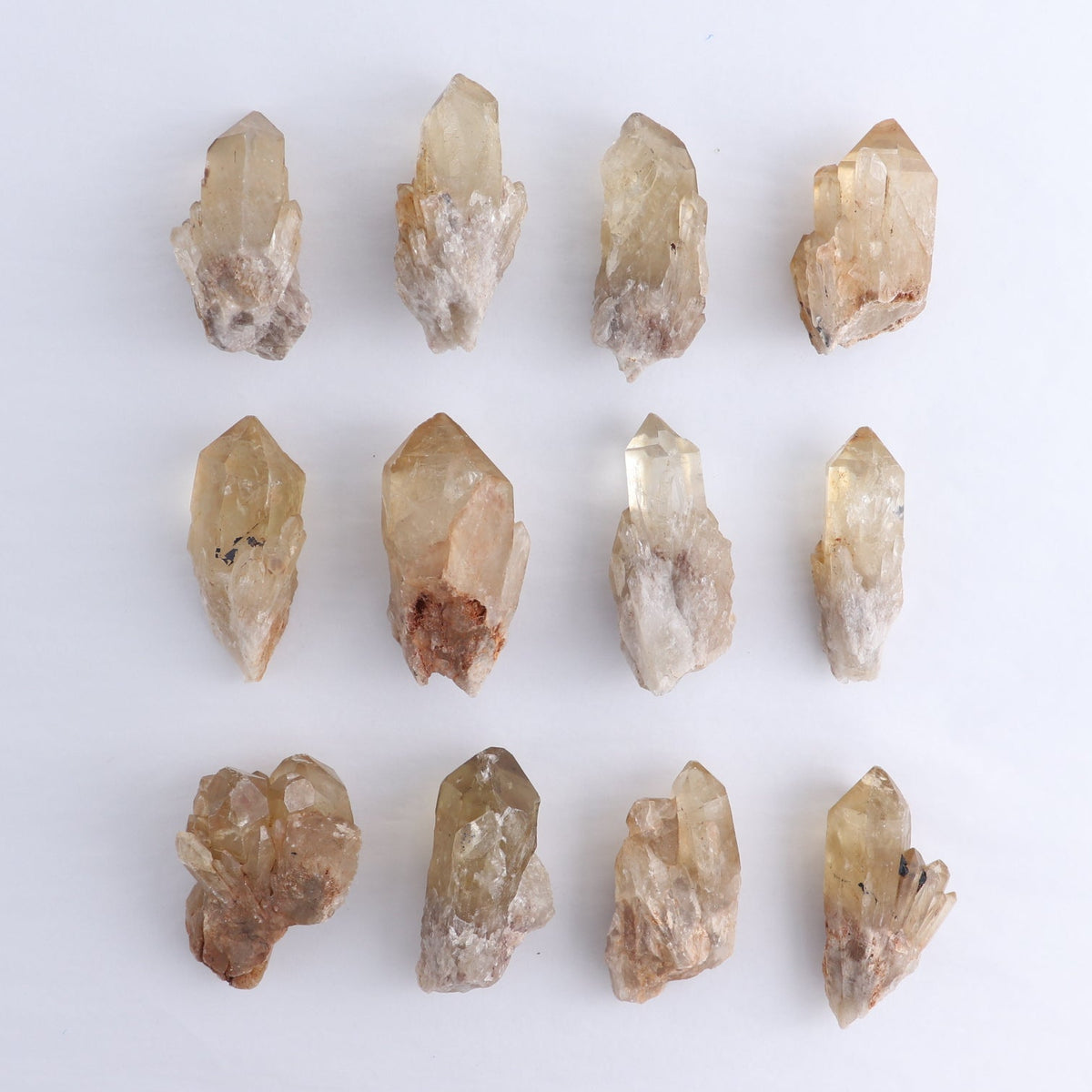 Congo Citrine Set of 12