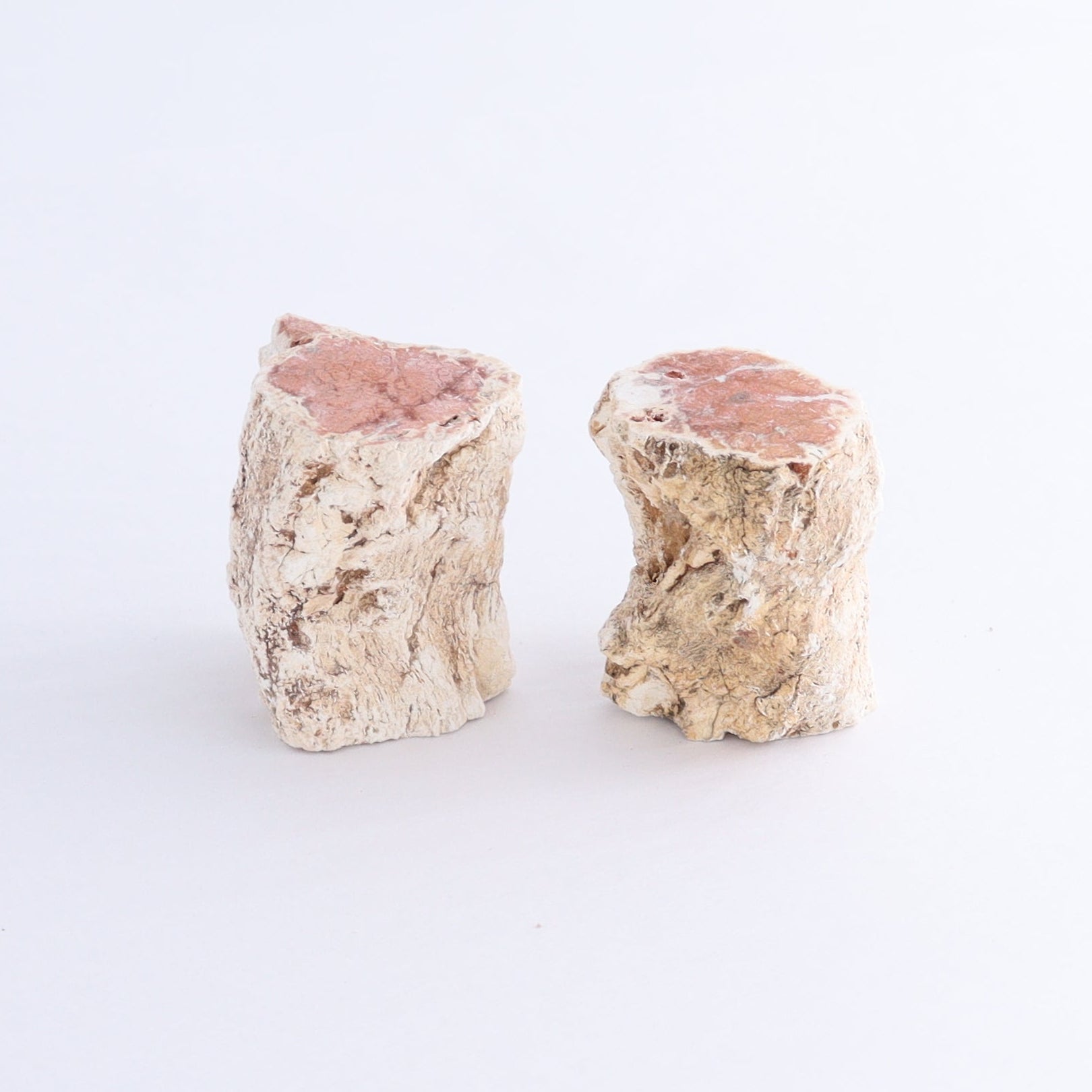 Petrified Wood Cut Bases Set of 10 - Expert Wholesale and Supplier of Wholesale Crystals & Bulk Gemstones, ["Cut Base","Petrified Wood"]