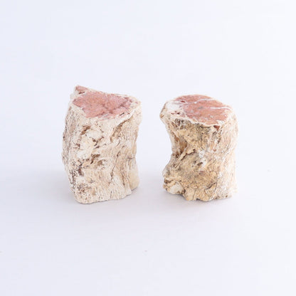 Petrified Wood Cut Bases Set of 10 - Expert Wholesale and Supplier of Wholesale Crystals & Bulk Gemstones, ["Cut Base","Petrified Wood"]
