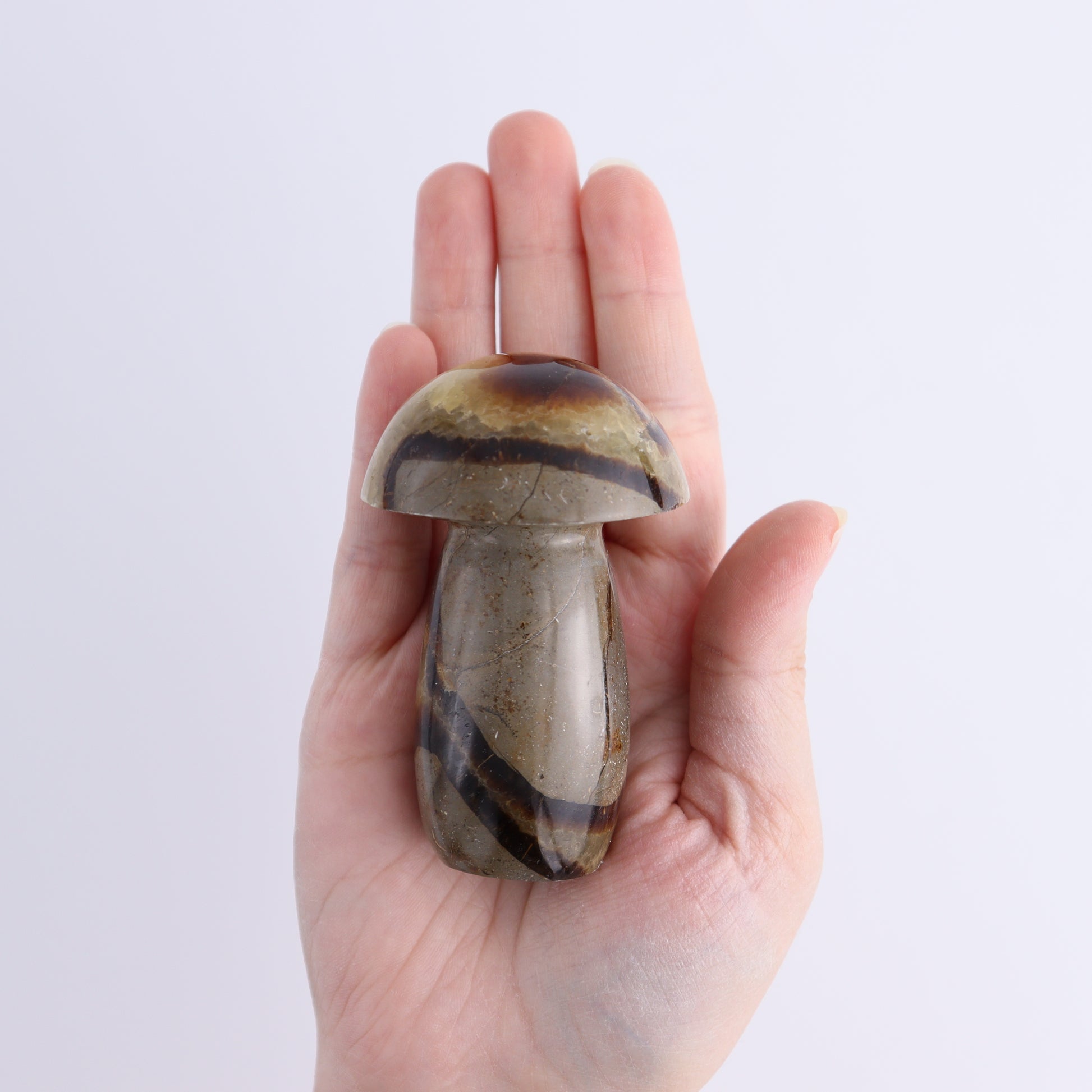 Septarian Mushrooms Set of 6 - Expert Wholesale and Supplier of Wholesale Crystals & Bulk Gemstones, ["Mushrooms","Septarian"]