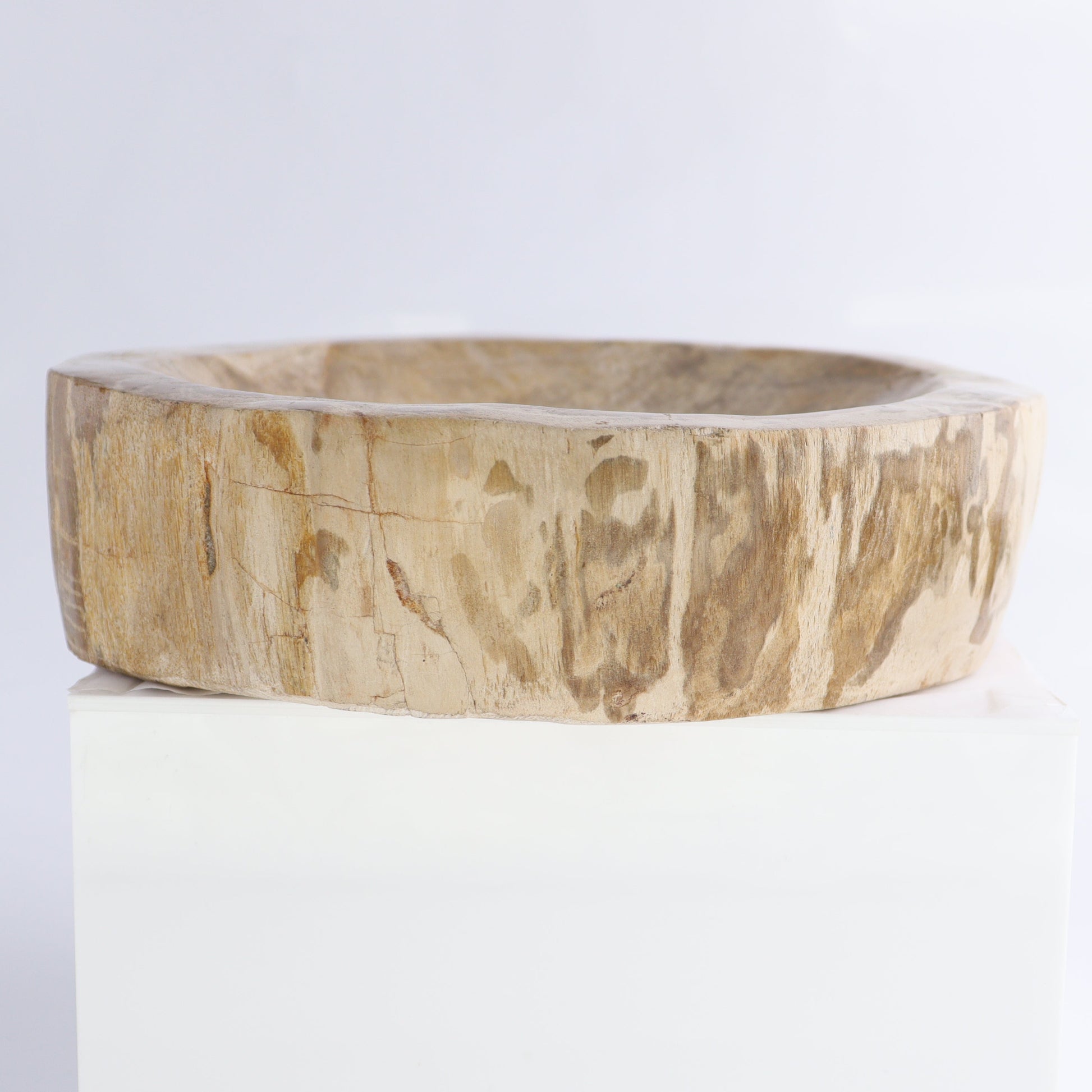 Petrified Wood Bowl - Expert Wholesale and Supplier of Wholesale Crystals & Bulk Gemstones, ["Bowls","Indonesia","Petrified Wood"]