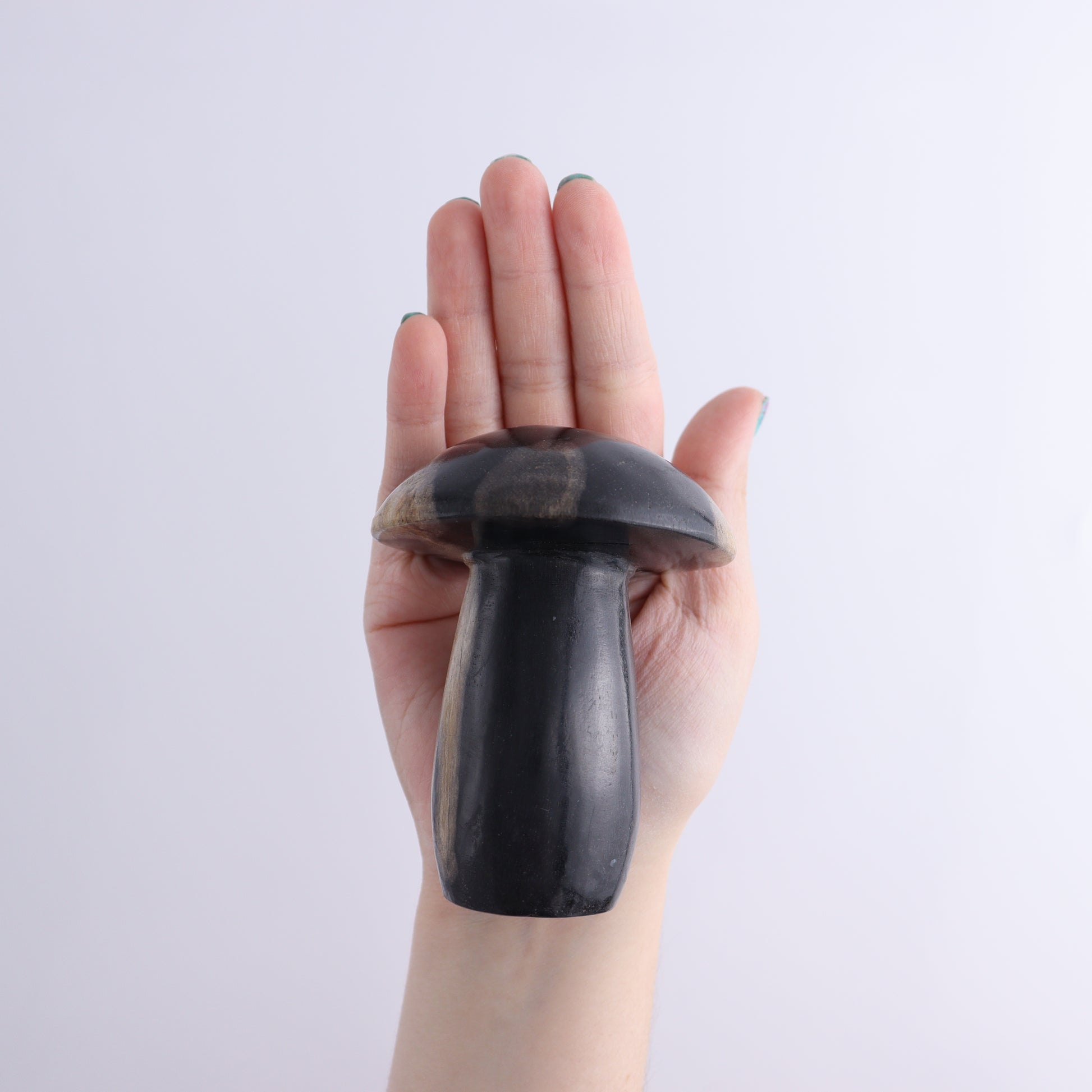 Petrified Wood Mushrooms Set of 4 - Expert Wholesale and Supplier of Wholesale Crystals & Bulk Gemstones, ["Indonesia","Mushrooms","Petrified Wood"]
