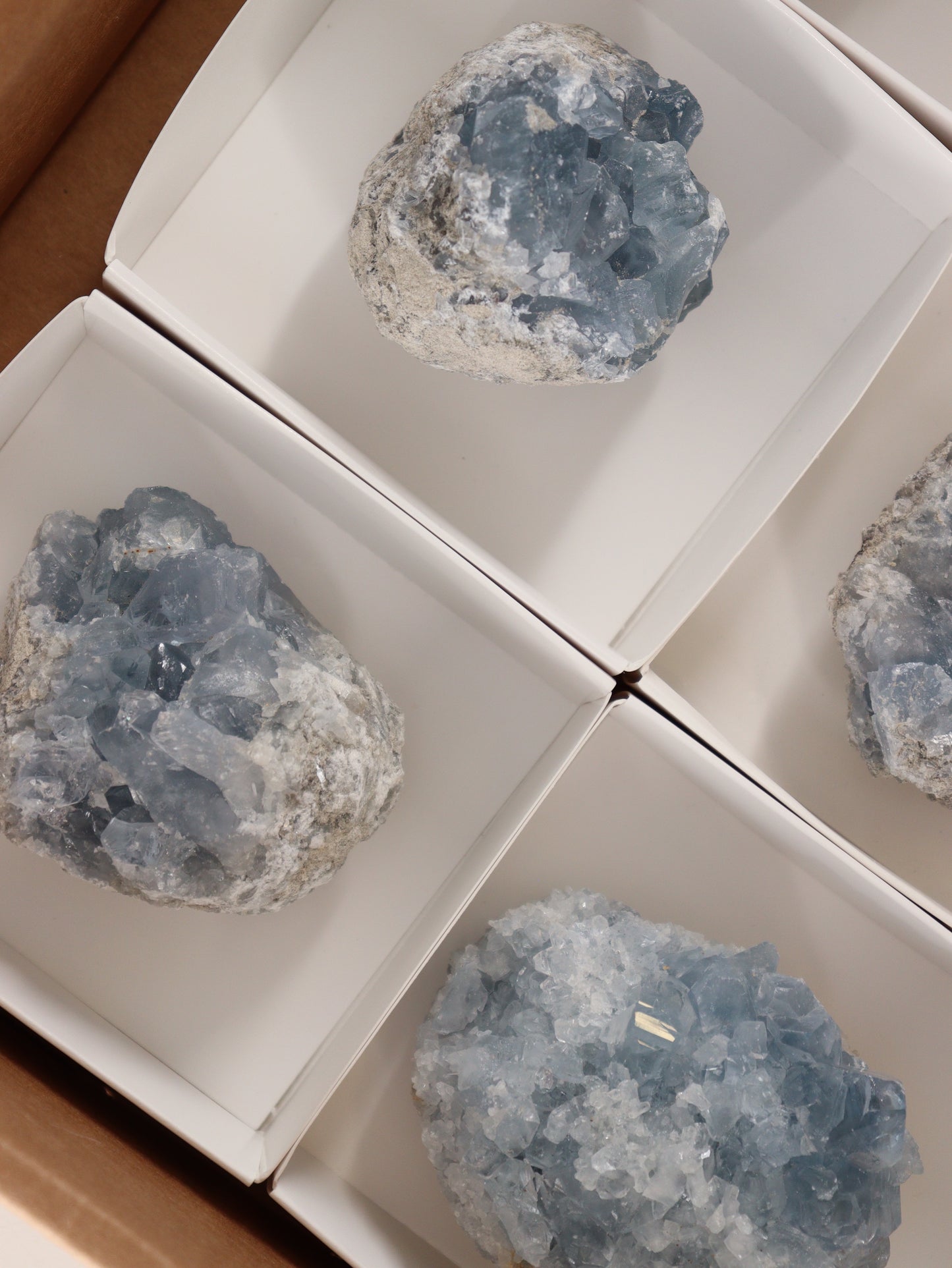 Celestite Clusters Set of 6 - Expert Wholesale and Supplier of Wholesale Crystals & Bulk Gemstones, []