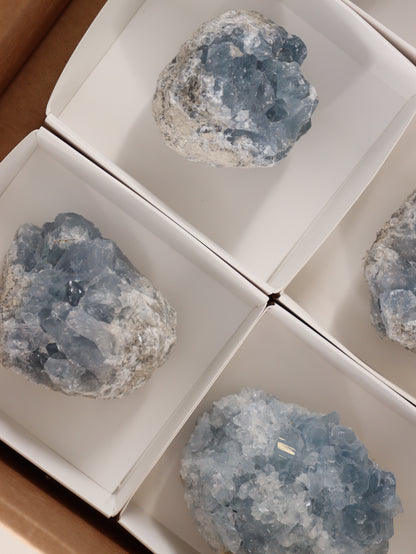 Celestite Clusters Set of 6 - Expert Wholesale and Supplier of Wholesale Crystals & Bulk Gemstones, []