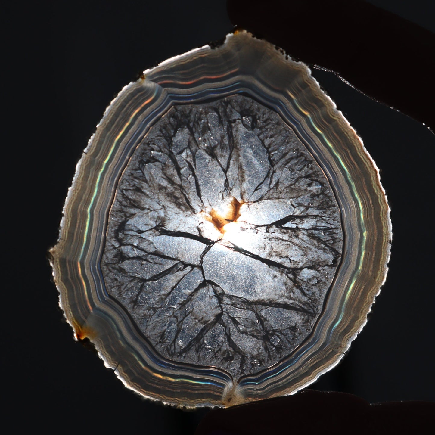 Iris Agate Slices Set of 6 - Expert Wholesale and Supplier of Wholesale Crystals & Bulk Gemstones, ["Agate","close_30","Iris Agate","Slices and Slabs"]