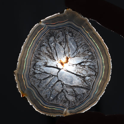 Iris Agate Slices Set of 6 - Expert Wholesale and Supplier of Wholesale Crystals & Bulk Gemstones, ["Agate","close_30","Iris Agate","Slices and Slabs"]