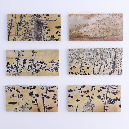 Picture Jasper Slabs of 6 - Expert Wholesale and Supplier of Wholesale Crystals & Bulk Gemstones, ["China","Picture Jasper","Slices and Slabs"]
