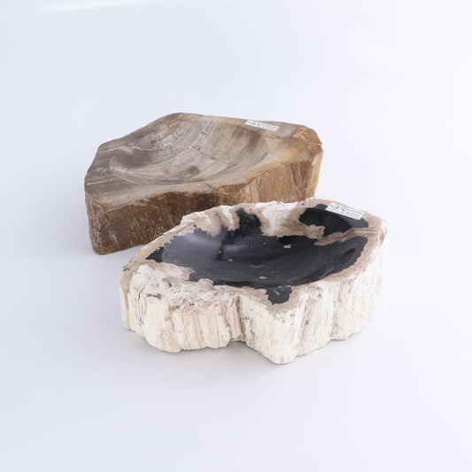 Petrified Wood Bowls Set of 2