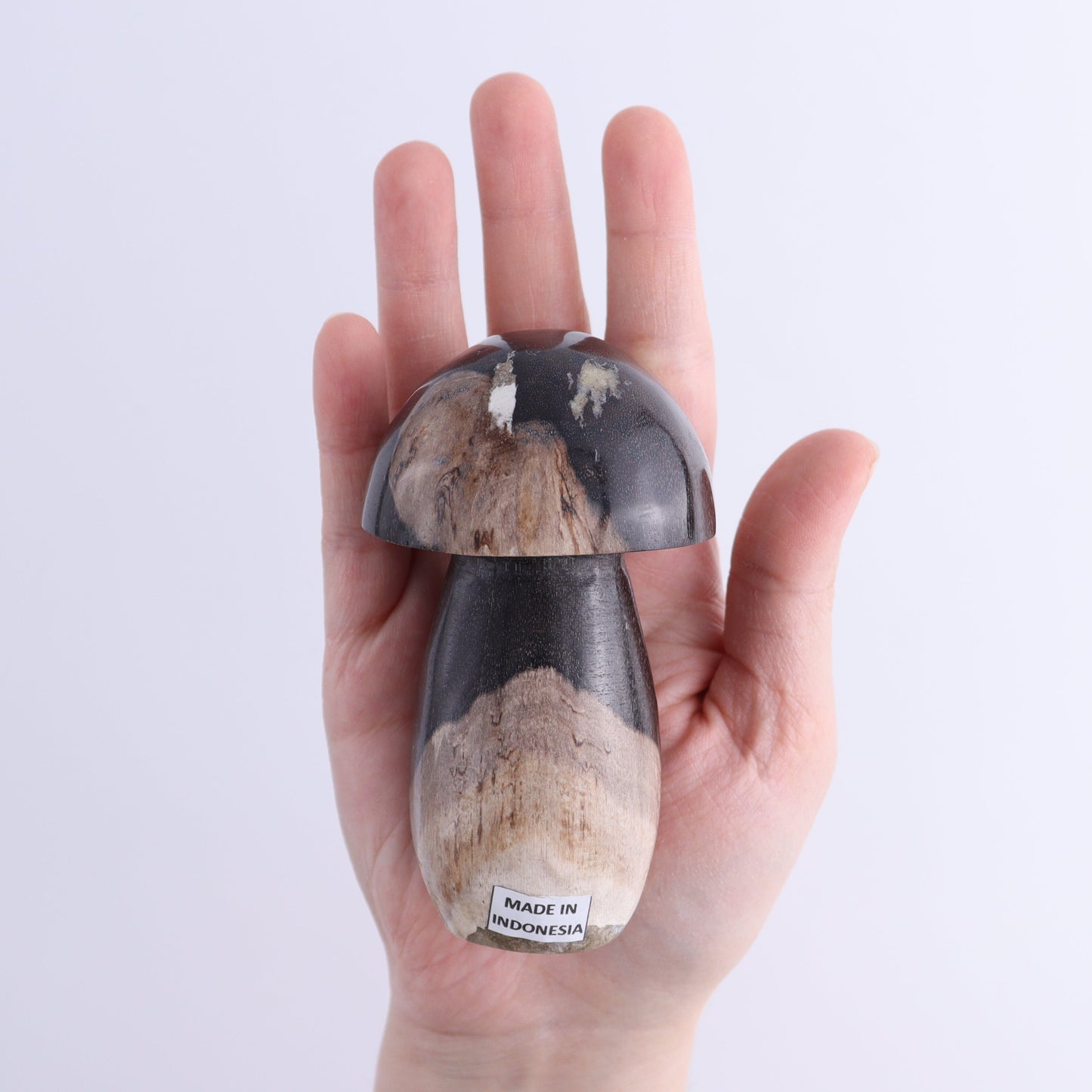 Petrified Wood Mushrooms Set of 4 - Expert Wholesale and Supplier of Wholesale Crystals & Bulk Gemstones, ["Indonesia","Mushrooms","Petrified Wood"]