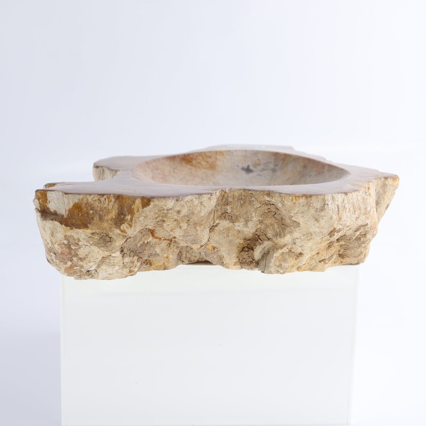 One Petrified Wood Brown Rough Bowl