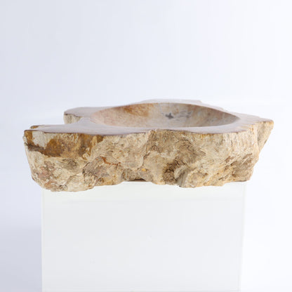 One Petrified Wood Brown Rough Bowl