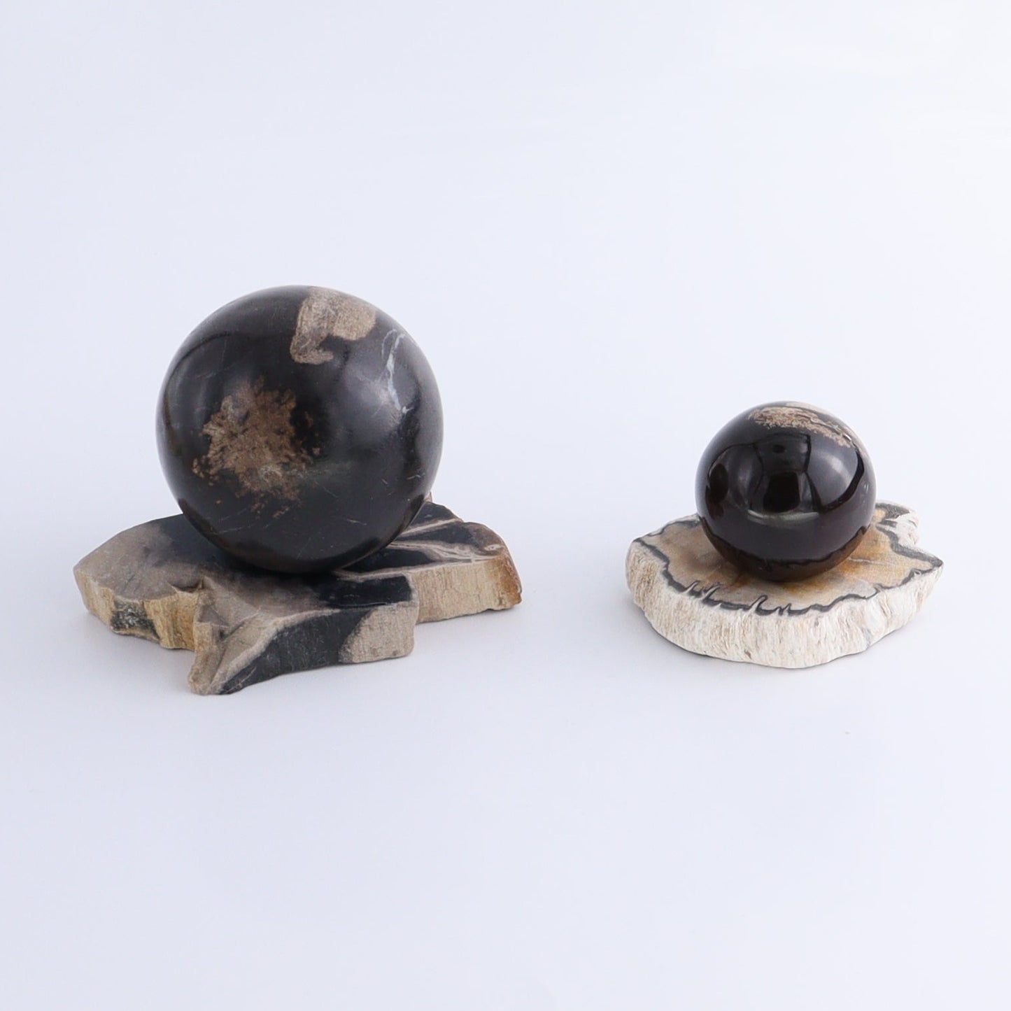 Petrified Wood Sphere Holders Set of 5 - Expert Wholesale and Supplier of Wholesale Crystals & Bulk Gemstones, ["Petrified Wood","sphere holder"]