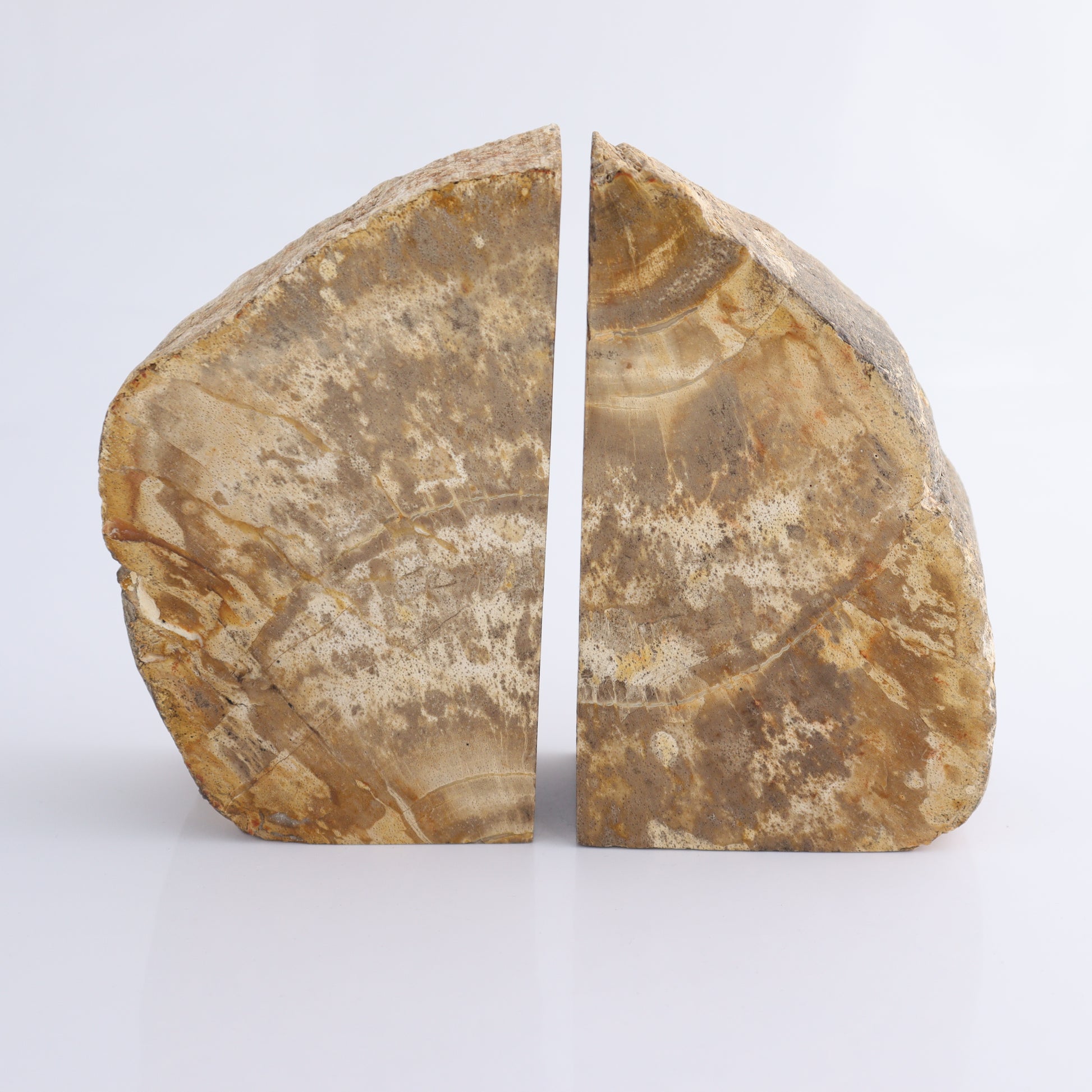 Bookends Petrified Wood - Expert Wholesale and Supplier of Wholesale Crystals & Bulk Gemstones, ["Bookends","Indonesia","Petrified Wood"]