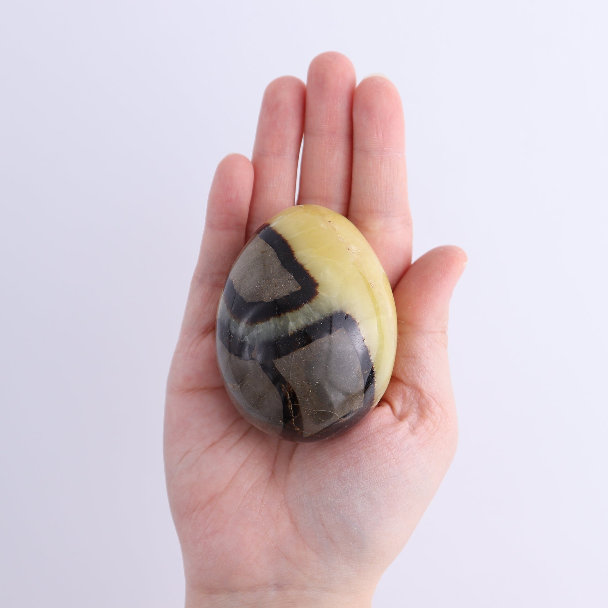 Septarian Eggs Set of 3 - Expert Wholesale and Supplier of Wholesale Crystals & Bulk Gemstones, ["Eggs","Madagascar","Septarian"]