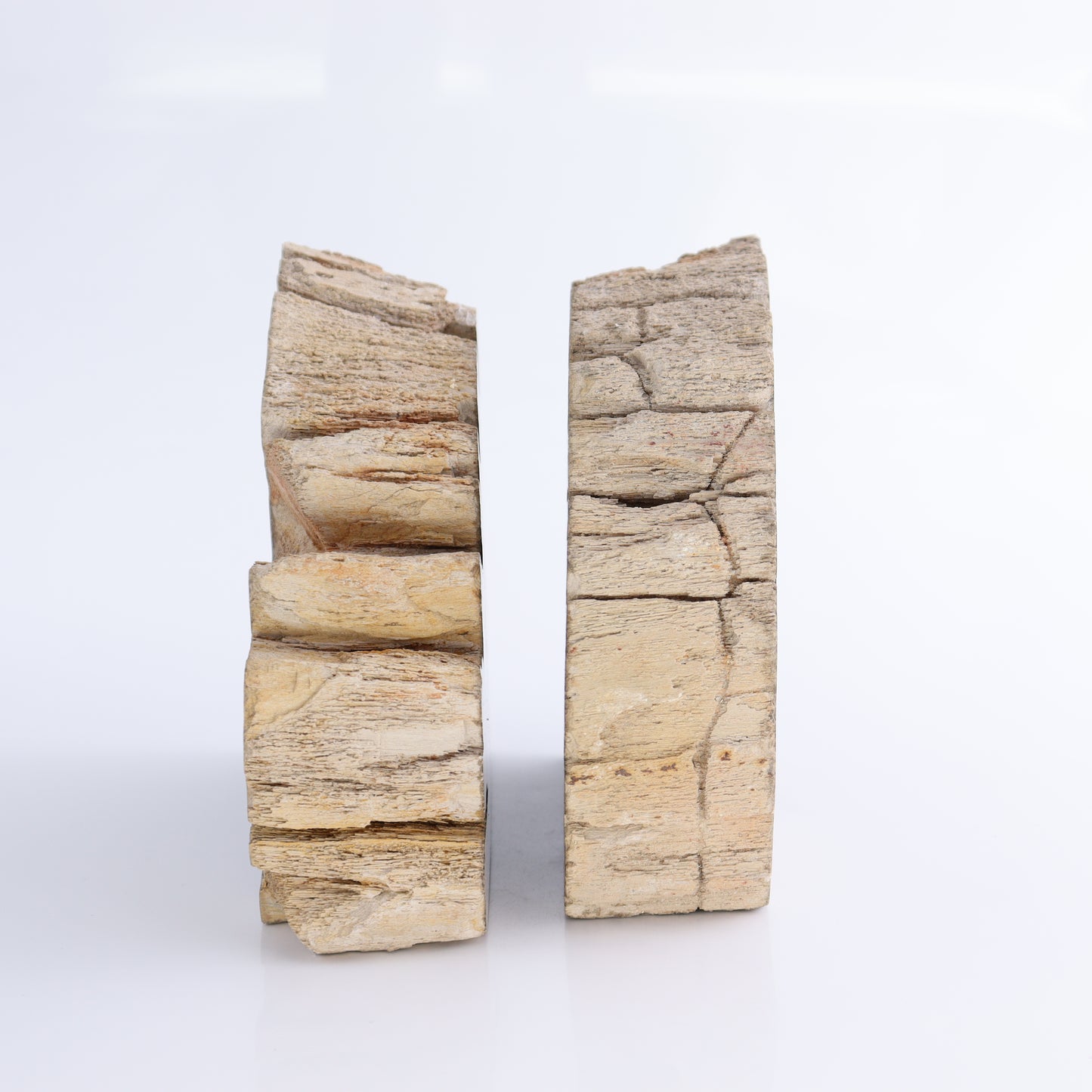 Bookends Petrified Wood - Expert Wholesale and Supplier of Wholesale Crystals & Bulk Gemstones, ["Bookends","Indonesia","Petrified Wood"]