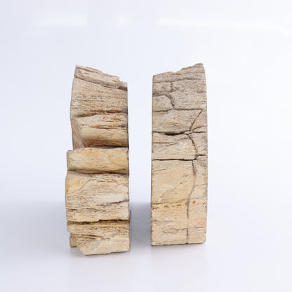 Bookends Petrified Wood - Expert Wholesale and Supplier of Wholesale Crystals & Bulk Gemstones, ["Bookends","Indonesia","Petrified Wood"]
