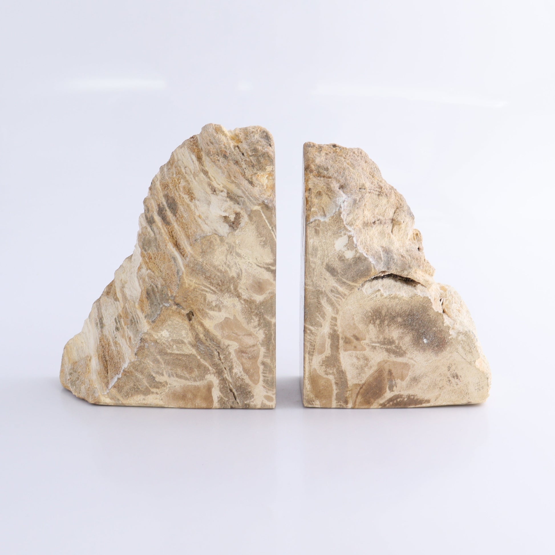 One Pair of Brown/Grey Tall Petrified Wood Bookends - Expert Wholesale and Supplier of Wholesale Crystals & Bulk Gemstones, ["Bookends","Indonesia","Petrified Wood"]