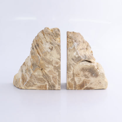 One Pair of Brown/Grey Tall Petrified Wood Bookends - Expert Wholesale and Supplier of Wholesale Crystals & Bulk Gemstones, ["Bookends","Indonesia","Petrified Wood"]