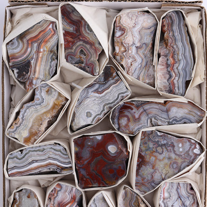 Crazy Lace Agate Flat of 15 - Expert Wholesale and Supplier of Wholesale Crystals & Bulk Gemstones, ["Crazy Lace Agate","Mexico"]