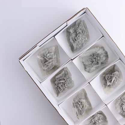 Selenite Clusters Set of 8 - Expert Wholesale and Supplier of Wholesale Crystals & Bulk Gemstones, ["Clusters","selenite"]