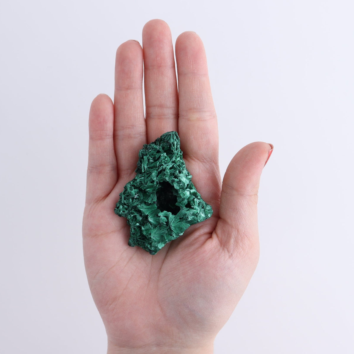 Malachite Freeforms Set of 9 - wholesale crystals