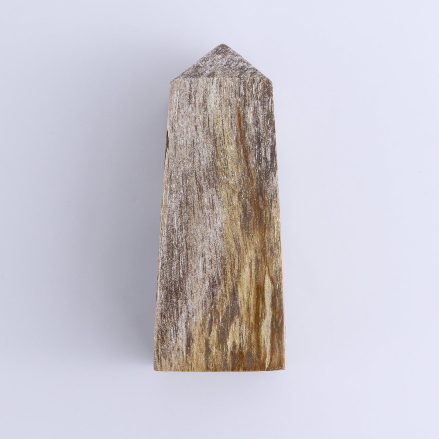 Petrified Wood Towers Set of 4 - Expert Wholesale and Supplier of Wholesale Crystals & Bulk Gemstones, ["Indonesia","Petrified Wood","Towers"]