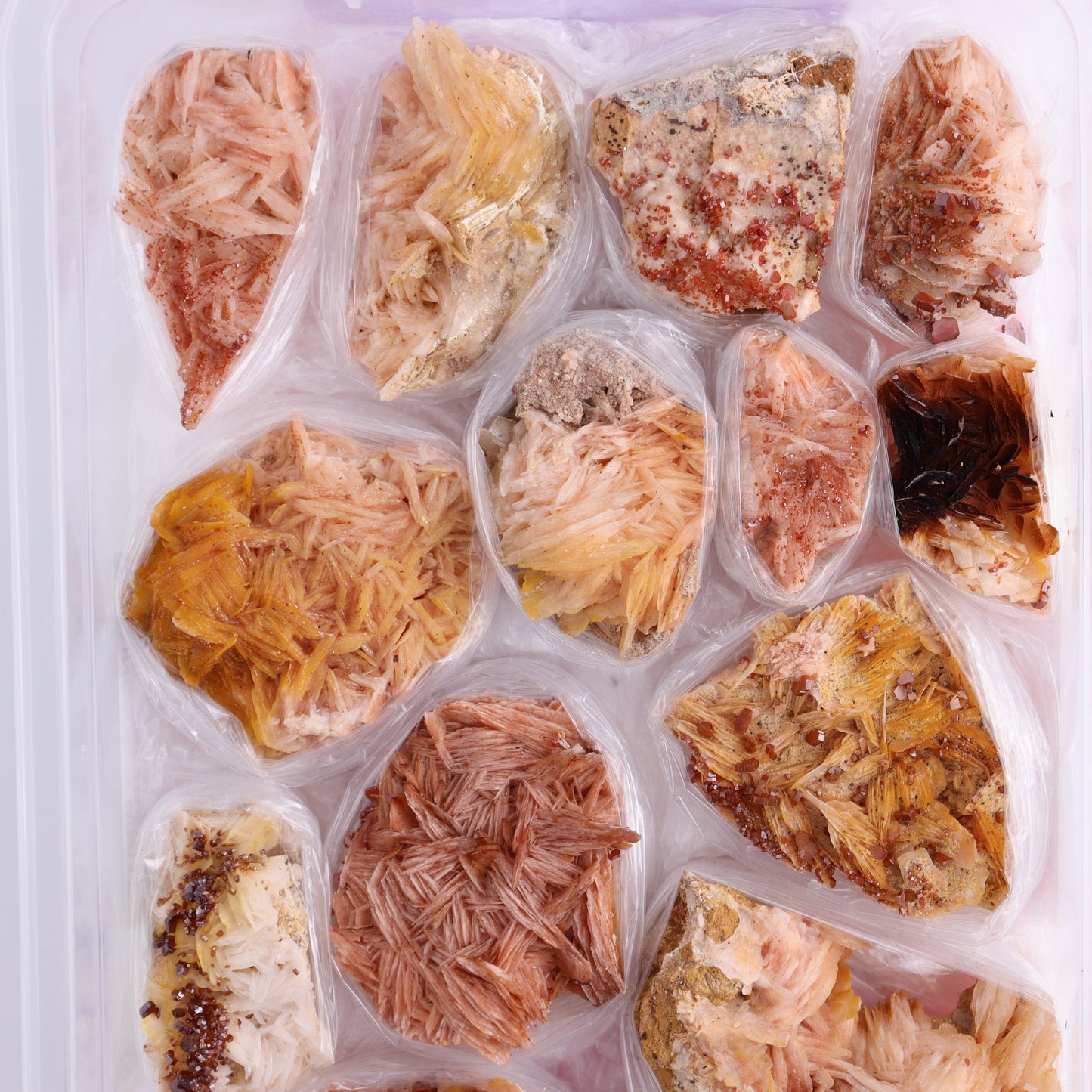 Vanadinite on Barite Flat from Morocco - Expert Wholesale and Supplier of Wholesale Crystals & Bulk Gemstones, ["Barite","Flats","Morocco","Vanadinite","Vanadinite Barite"]