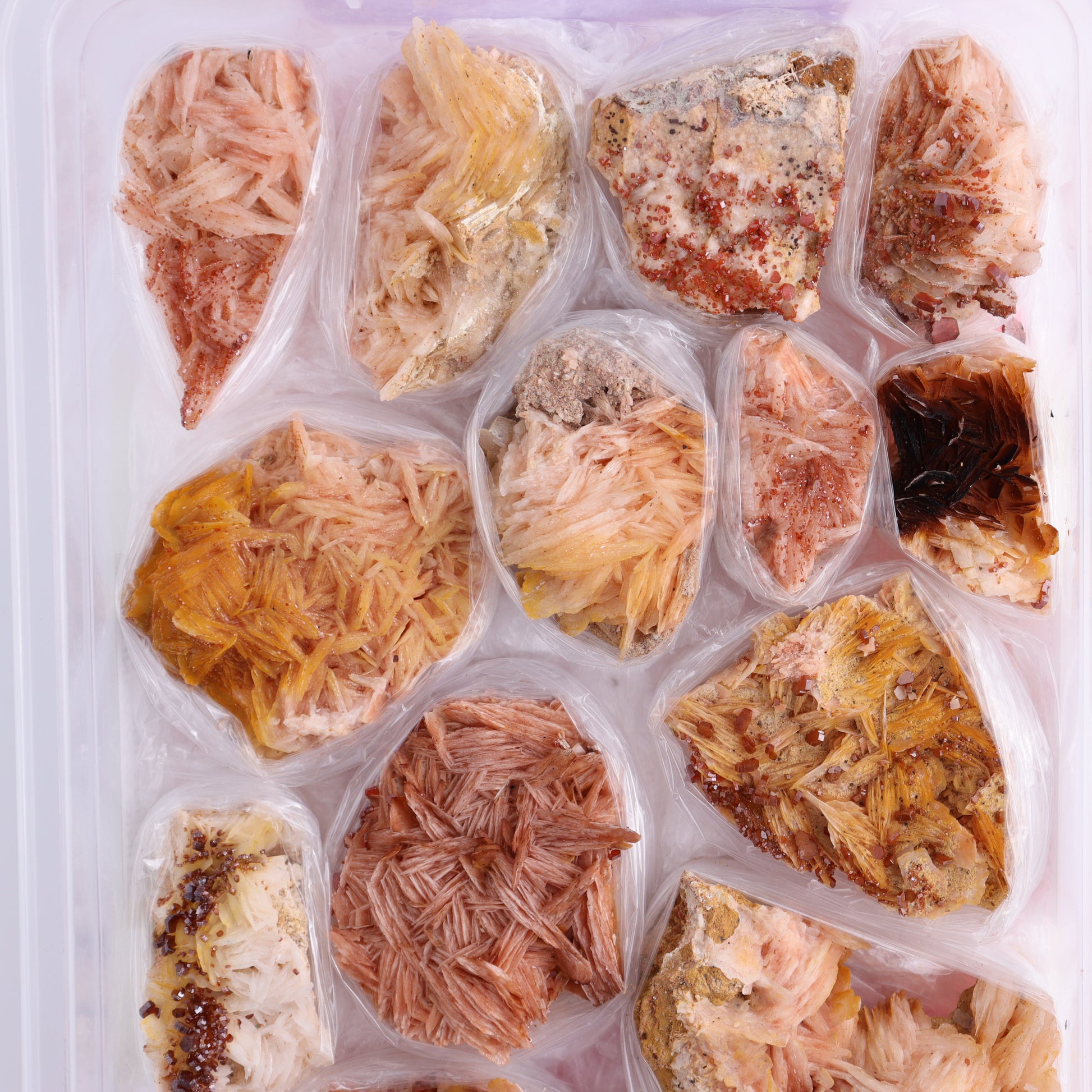 Vanadinite on Barite Flat from Morocco - Expert Wholesale and Supplier of Wholesale Crystals & Bulk Gemstones, ["Barite","Flats","Morocco","Vanadinite","Vanadinite Barite"]