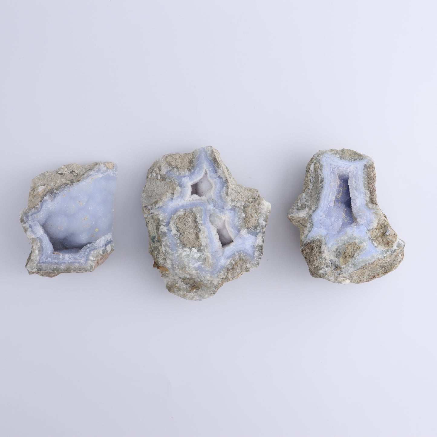 Blue Lace Agate Freeforms Set of 12