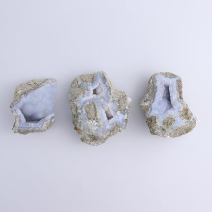 Blue Lace Agate Freeforms Set of 12