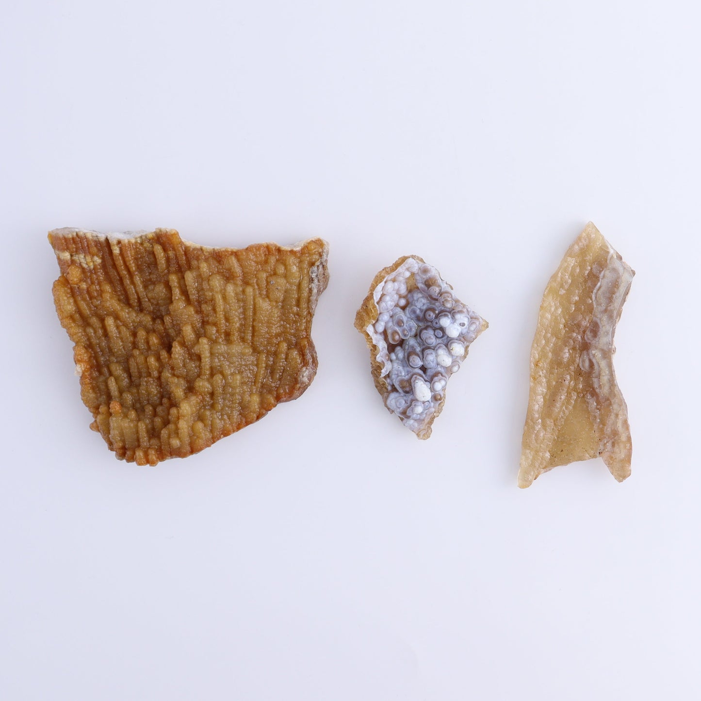 Agatized Coral Flat - Expert Wholesale and Supplier of Wholesale Crystals & Bulk Gemstones, ["Agate","Agatized Coral","Coral","United States"]