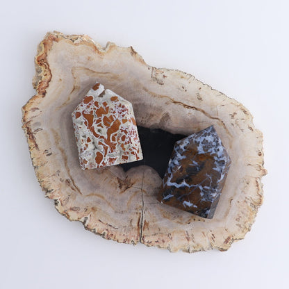 One Tower Brecciated Jasper | Mi Esperanza Minerals | Supplier of Crystals and Onyx