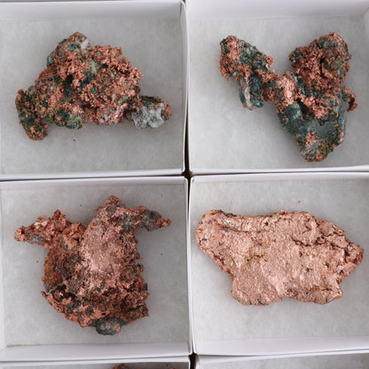 Native Copper Flat of 6 - Expert Wholesale and Supplier of Wholesale Crystals & Bulk Gemstones, ["copper","Freeforms","Native Copper","United States"]