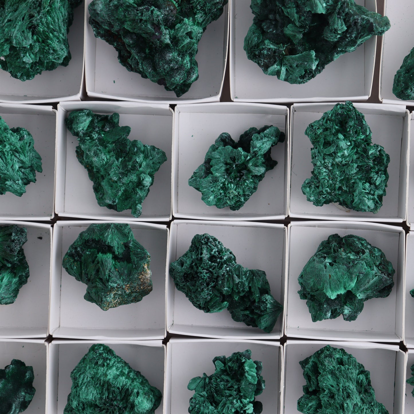 Malachite Flat of 34 - Expert Wholesale and Supplier of Wholesale Crystals & Bulk Gemstones, ["Congo","Flats","Malachite"]