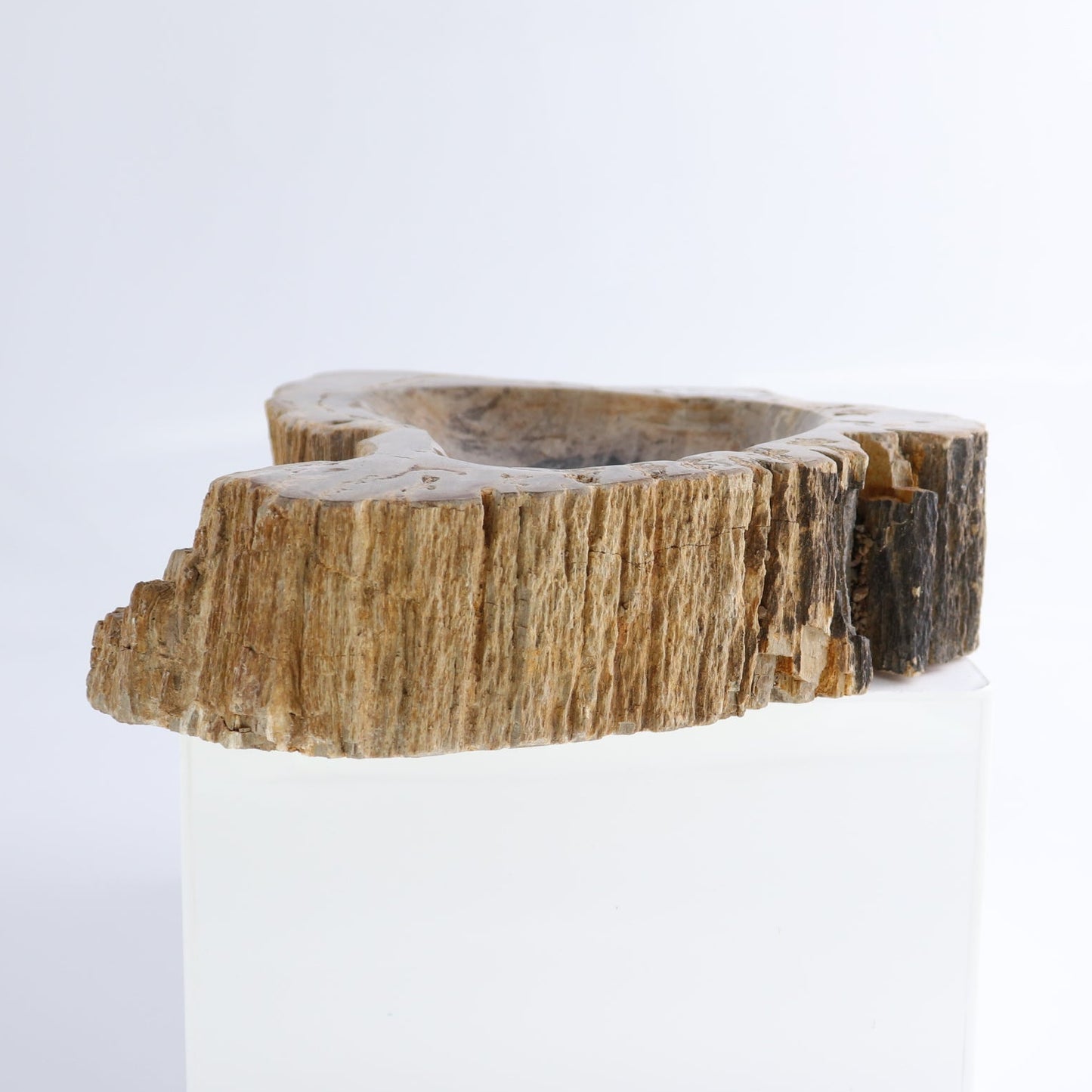 One Petrified Wood Brown Rough Bowl