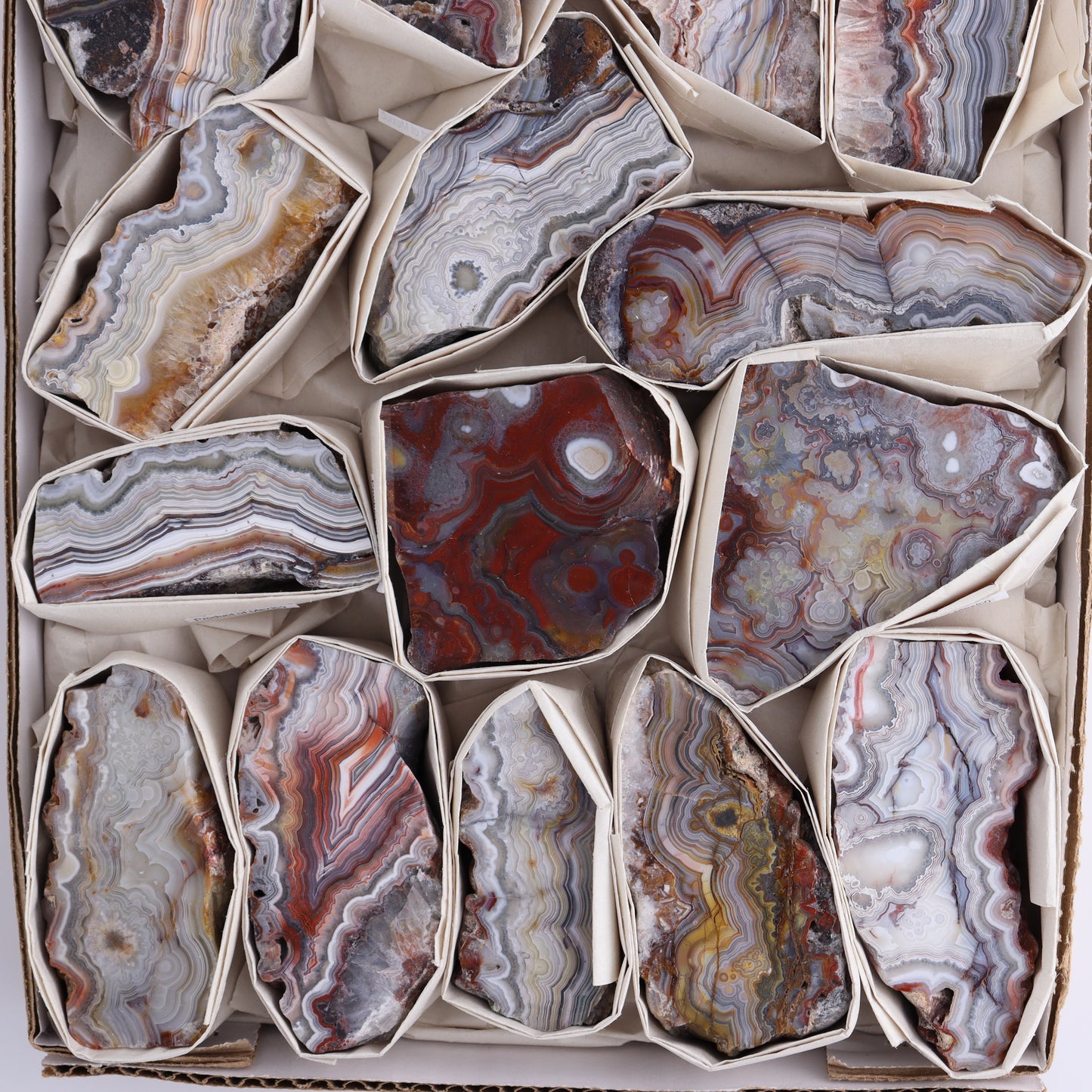Crazy Lace Agate Flat of 15 - Expert Wholesale and Supplier of Wholesale Crystals & Bulk Gemstones, ["Crazy Lace Agate","Mexico"]