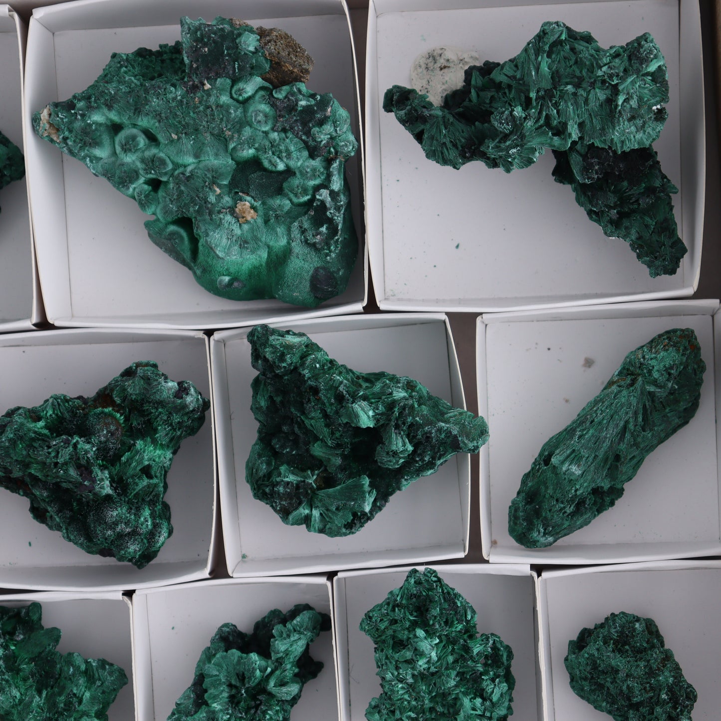 Malachite Flat of 34 - Expert Wholesale and Supplier of Wholesale Crystals & Bulk Gemstones, ["Congo","Flats","Malachite"]
